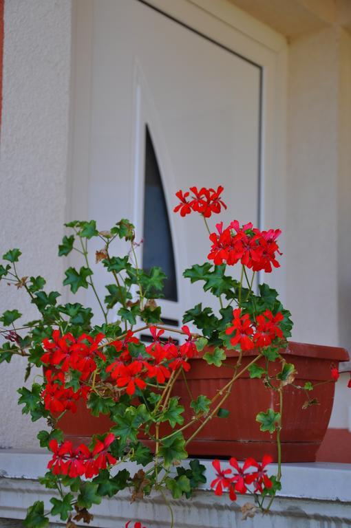 Apartments Villa Anka Opatija Pokoj fotografie